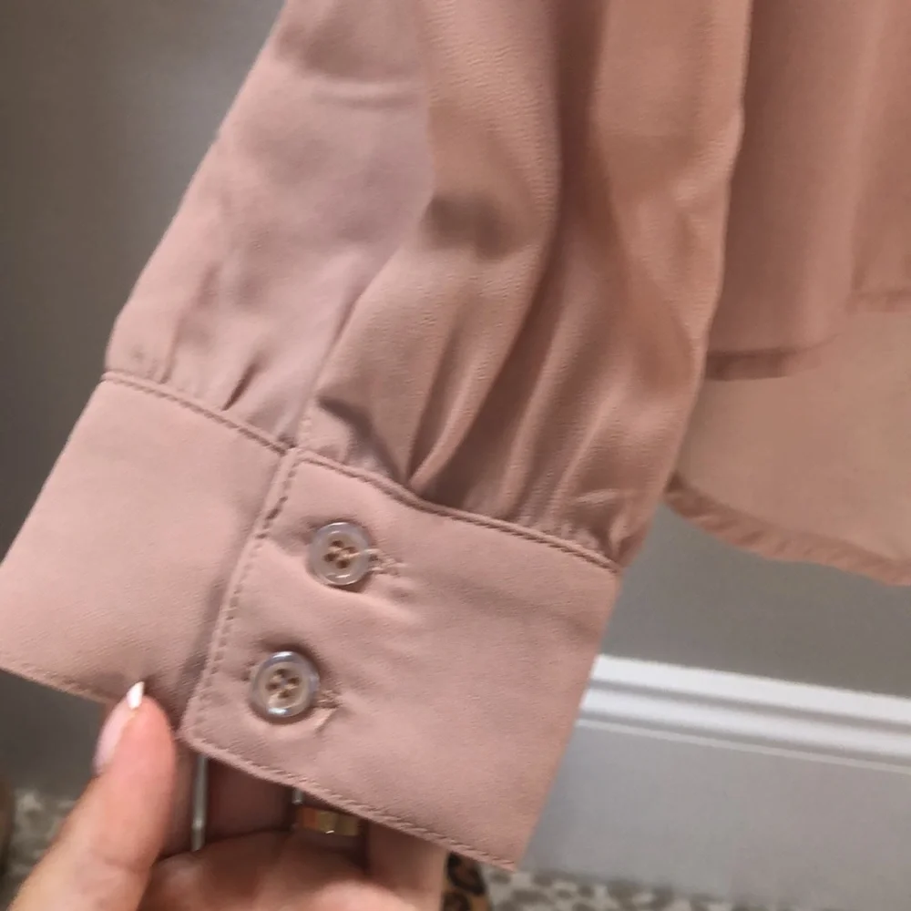 Blu Pepper Sheer Glitter Blouse - Picture 5 of 9